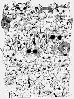 Cat-astrophe